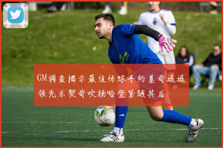 GM调查揭示最佳传球手约基奇遥遥领先东契奇吹杨哈登紧随其后